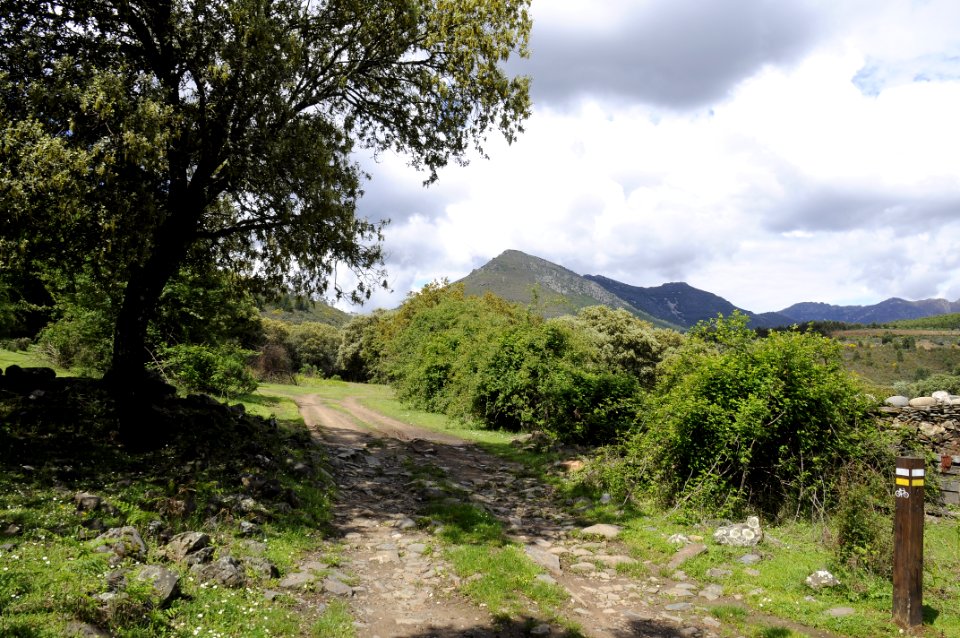 Camino (15709186578)