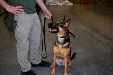 Canine Training and Operations Center (51162908822)
