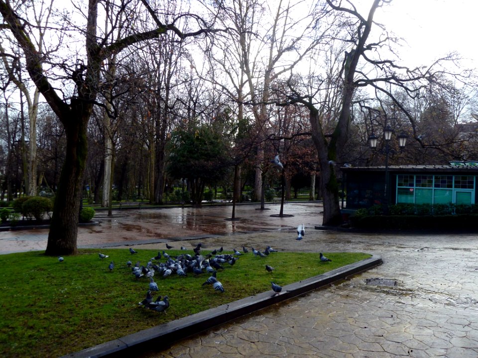 Campo de San Francisco (5549793424)