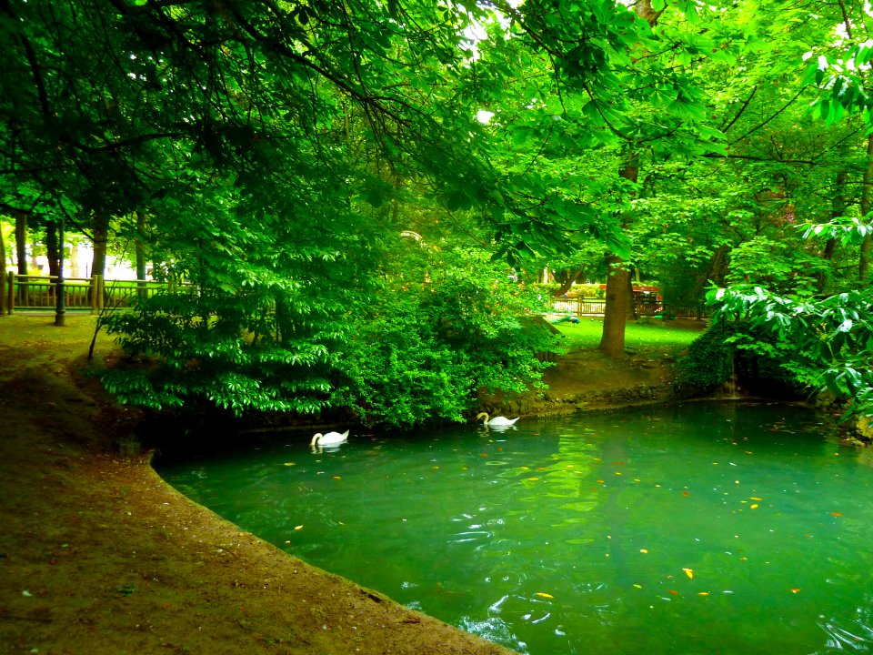 Campo de San Francisco (8091047629)