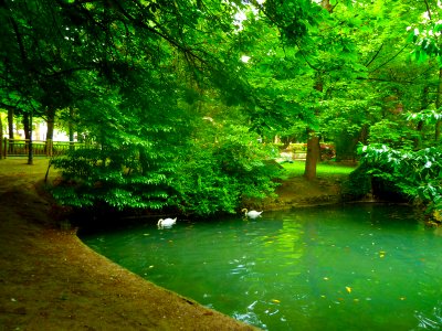 Campo de San Francisco (8091047629)