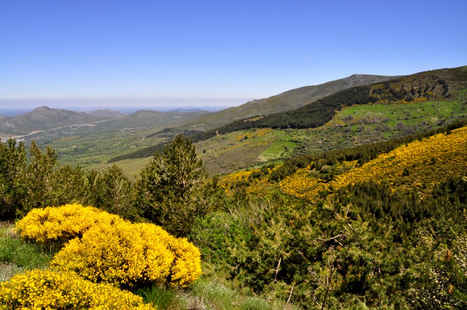Candelario - Salamanca (15251194253)