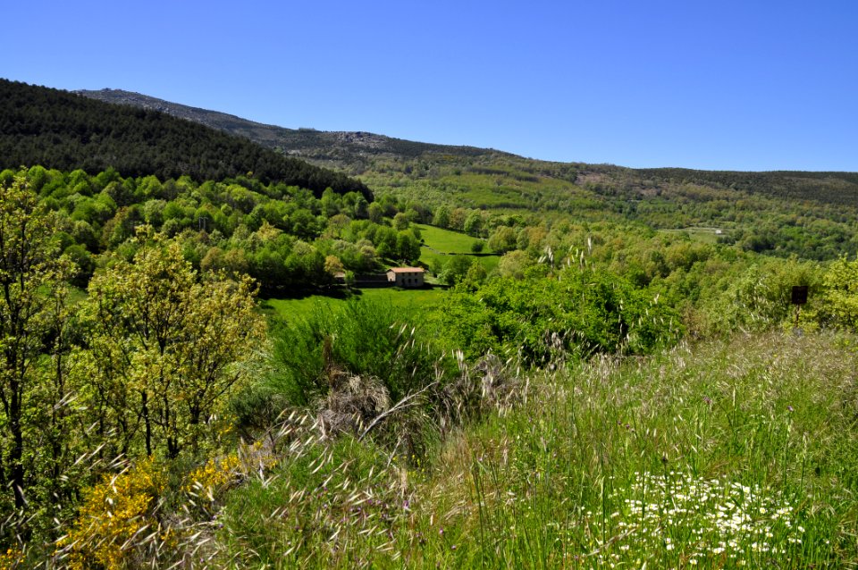 Candelario - Salamanca (15251183463)