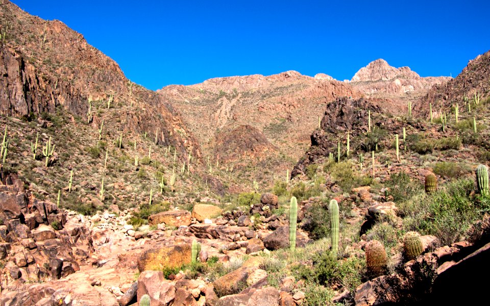 Canyon View (8273993348)