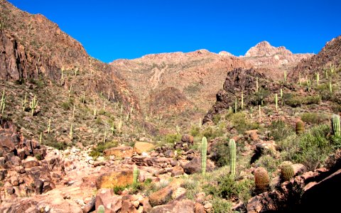 Canyon View (8273993348)