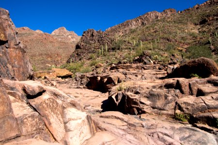Canyon View (8273990888)