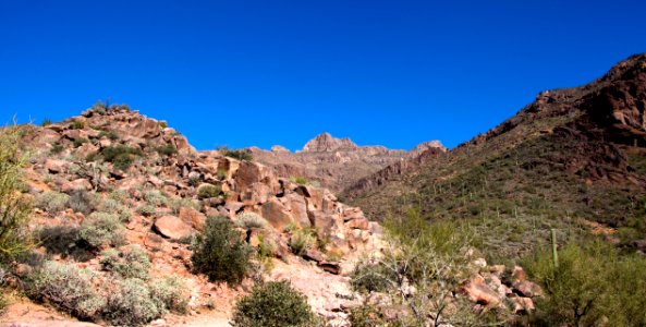 Canyon View from the Trail (8273996494)