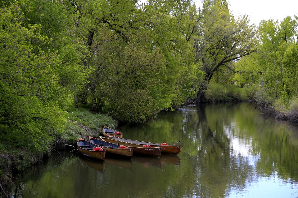Canoes on the Jordan River (34395060241)