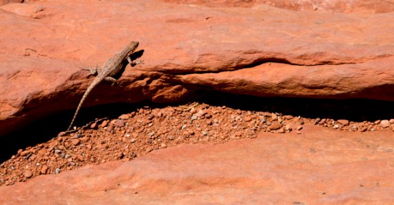 Canyonlands National Park, Utah (35452115205)