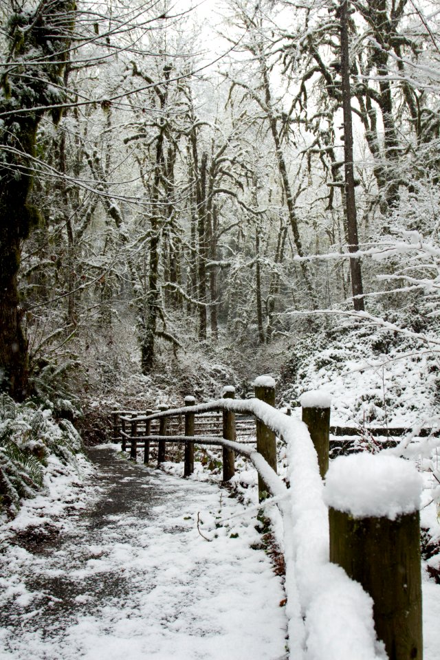 Cascadia State Park in snow, Oregon (39714082984)