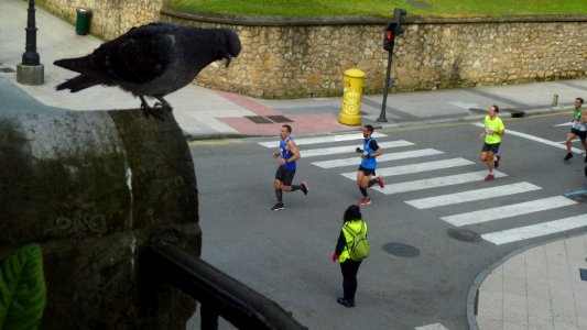 Carrera pedestre 10 kms. (8668766112)