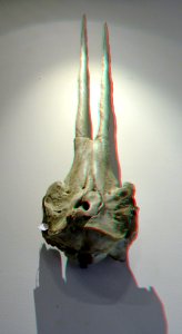 Cast of Narwal NHM Rotterdam 3D (46131605111)