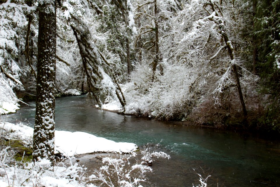 Cascadia State Park, Oregon (39714062044)