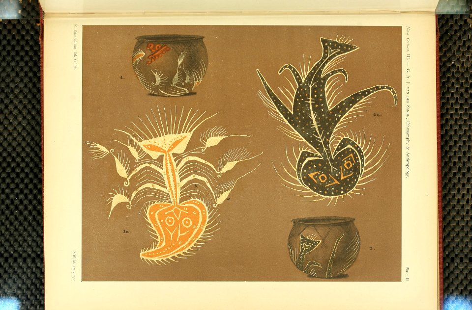 Nova Guinea - Vol 3 - Plate 02
