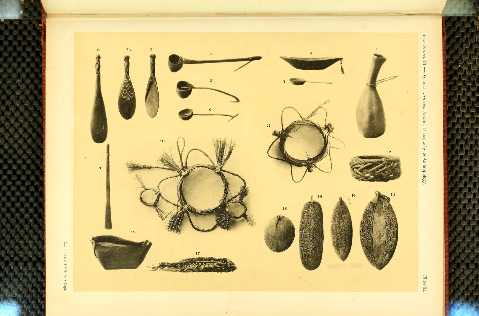 Nova Guinea - Vol 3 - Plate 03