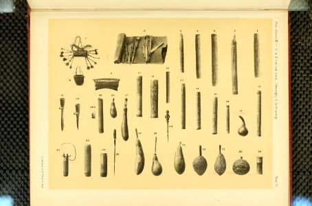 Nova Guinea - Vol 3 - Plate 04
