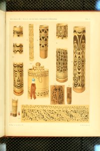 Nova Guinea - Vol 3 - Plate 05