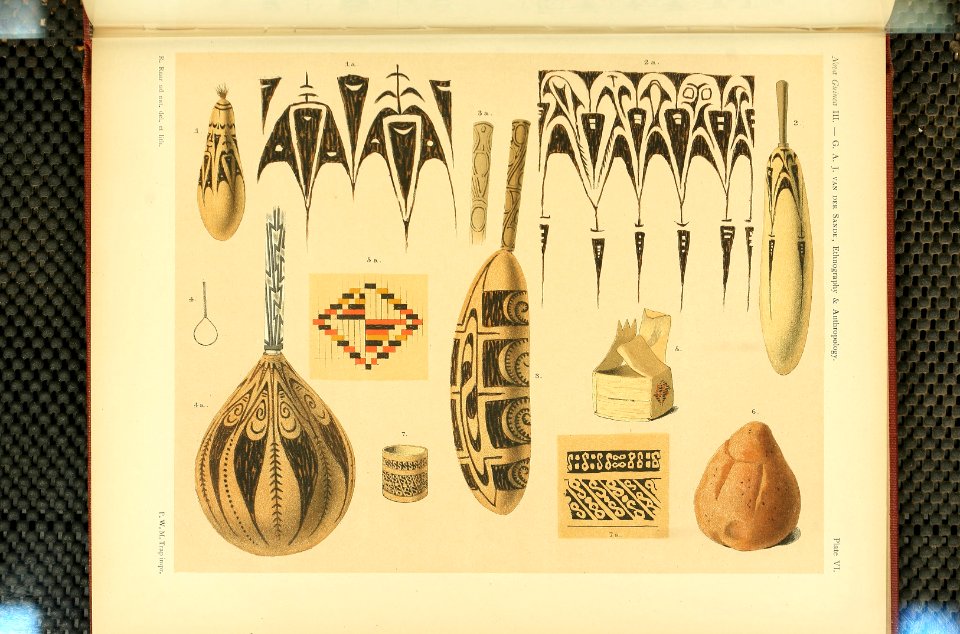 Nova Guinea - Vol 3 - Plate 06