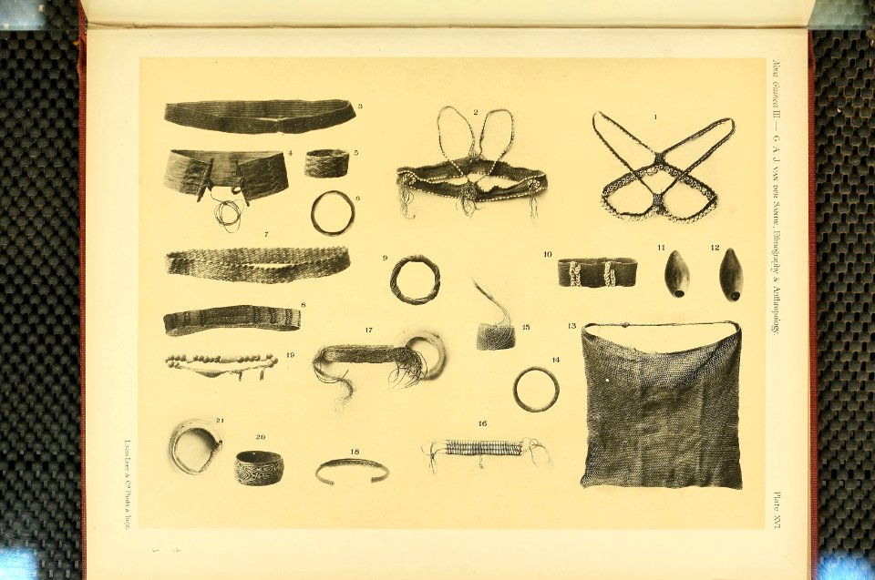 Nova Guinea - Vol 3 - Plate 16