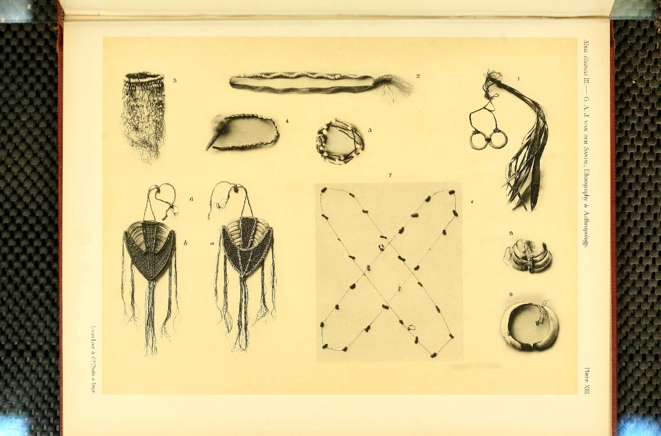 Nova Guinea - Vol 3 - Plate 13