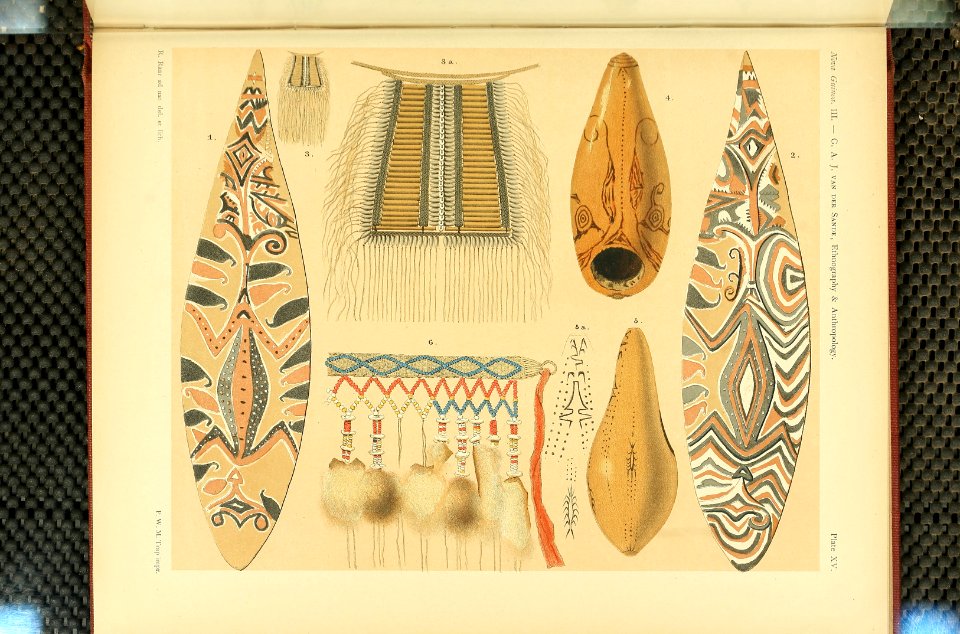 Nova Guinea - Vol 3 - Plate 15