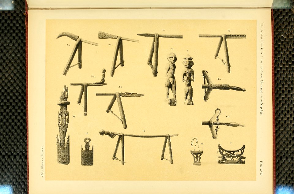 Nova Guinea - Vol 3 - Plate 18