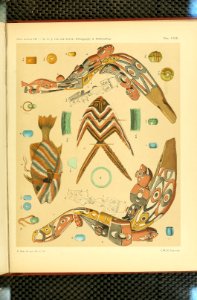 Nova Guinea - Vol 3 - Plate 23