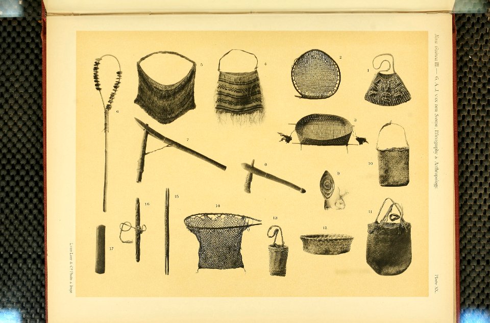 Nova Guinea - Vol 3 - Plate 20