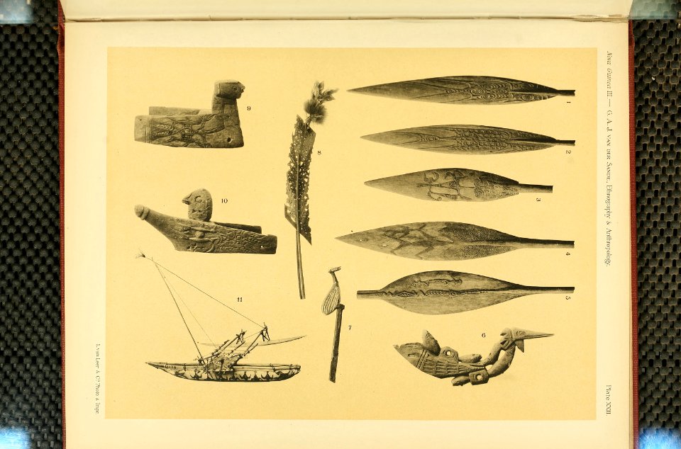 Nova Guinea - Vol 3 - Plate 22