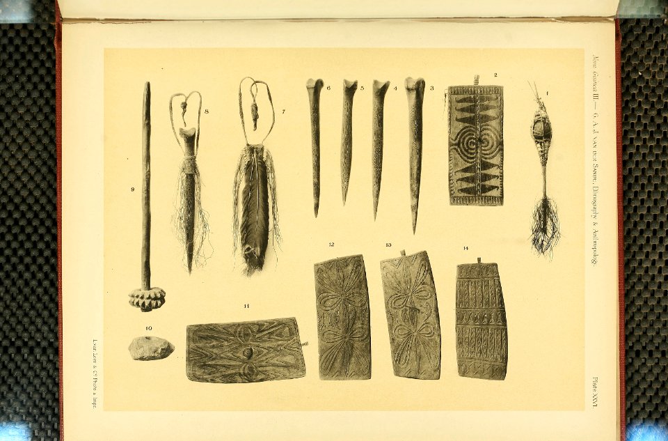 Nova Guinea - Vol 3 - Plate 26