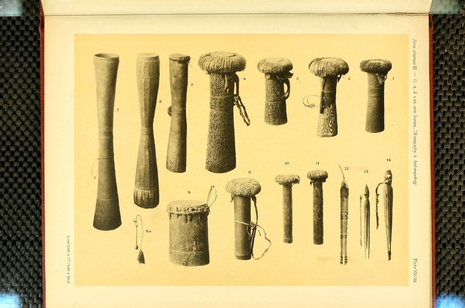 Nova Guinea - Vol 3 - Plate 28