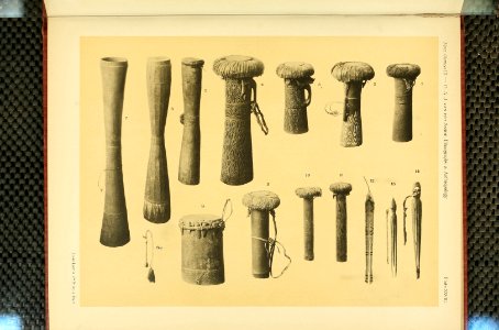 Nova Guinea - Vol 3 - Plate 28