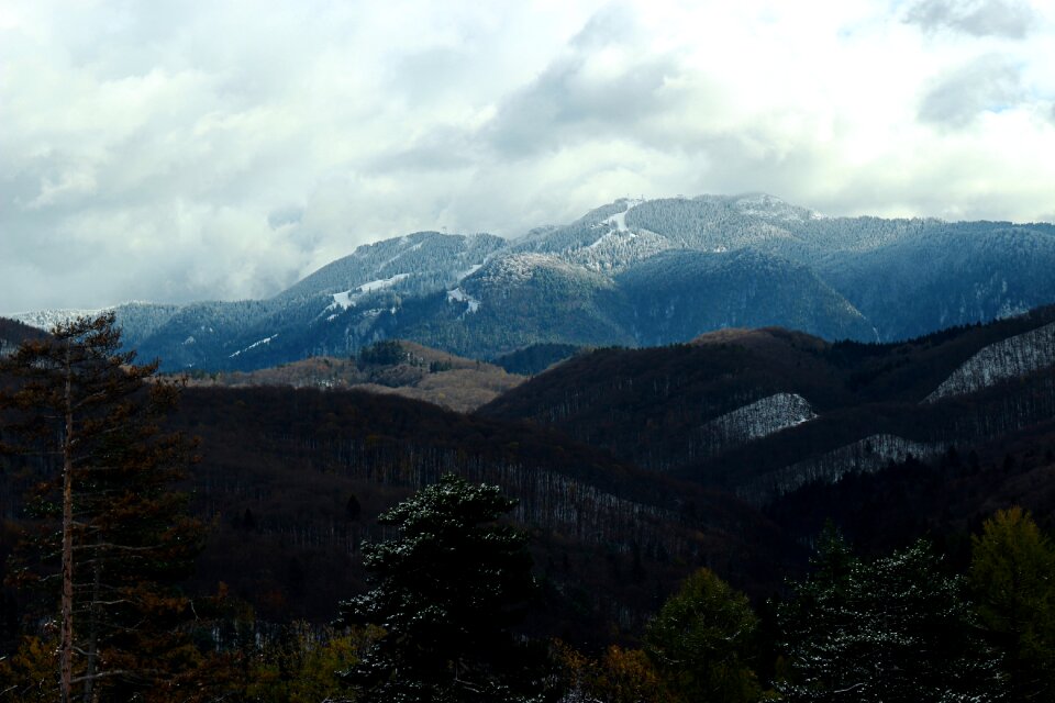 Forest cloud romania