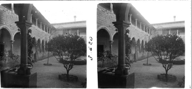 Nova vista del claustre del monestir de Pedralbes