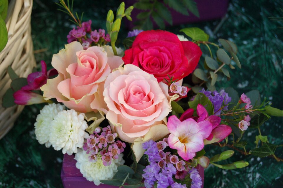 Nature petal flower arrangement