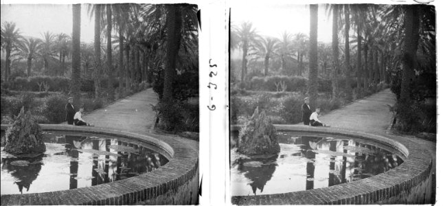 Nova vista del parc amb palmeres
