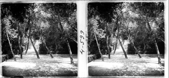 Nova vista del parc de Montjuïc de Barcelona (SaP 599 04)