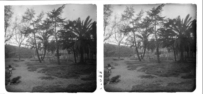 Nova vista del petit bosc i d ' un palau al parc de Montjuïc de Barcelona