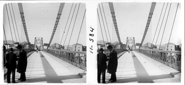 Nova vista del pont penjant d ' Amposta (SaP 584 11)