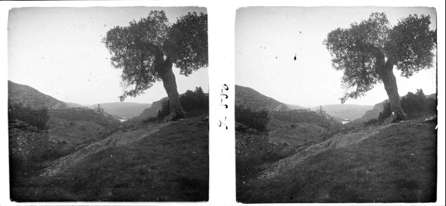 Nova vista panoràmica d ' una vall