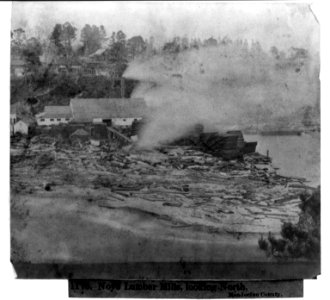 Noyo Lumber mills, looking North, Mendocino County LCCN2002721089