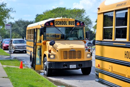 Students grade school buses