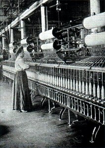NSRW Story of Wool - twister