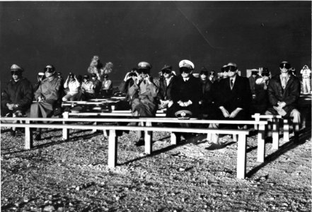 Nuclear spectators