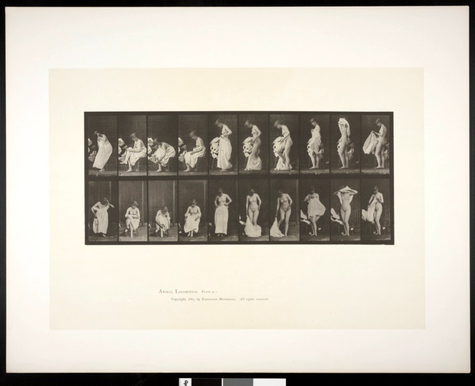 Nude woman sitting and disrobing (rbm-QP301M8-1887-498)