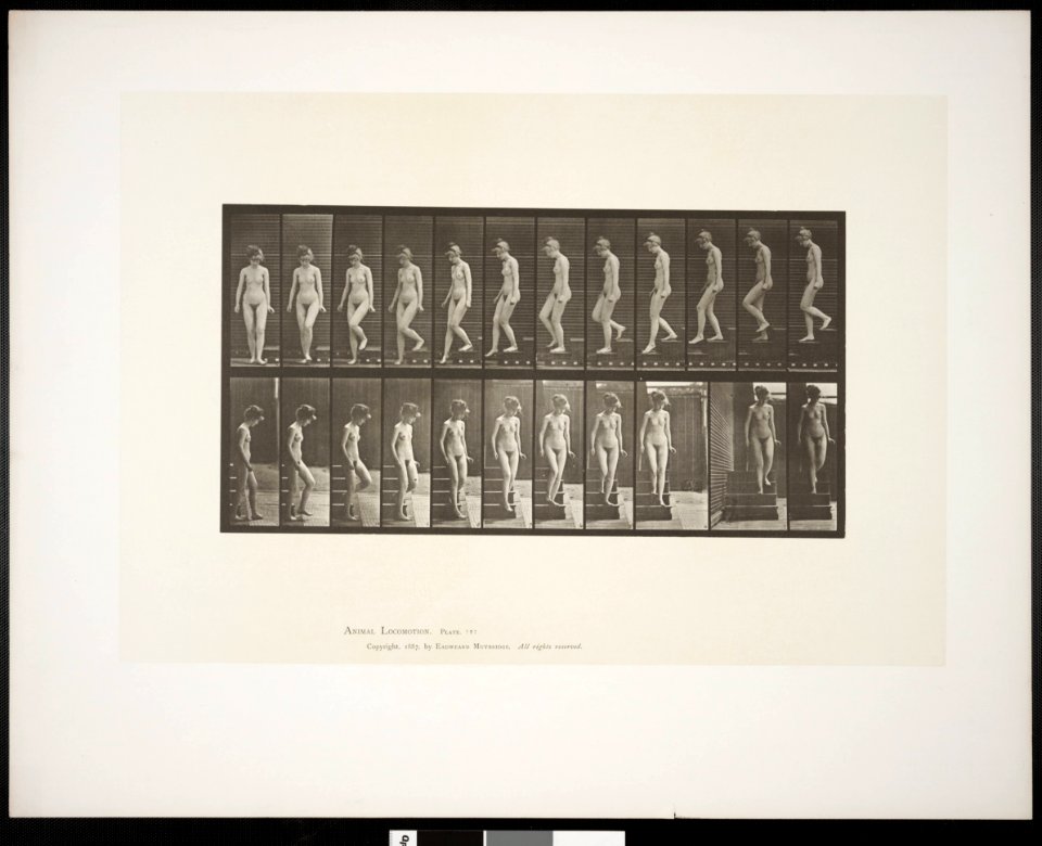 Nude woman descending stairs (rbm-QP301M8-1887-137)