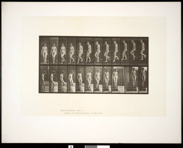Nude woman descending stairs (rbm-QP301M8-1887-137)