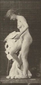 Nude woman sitting and disrobing (rbm-QP301M8-1887-498a~7)