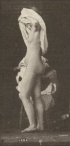 Nude woman sitting and disrobing (rbm-QP301M8-1887-498a~9)