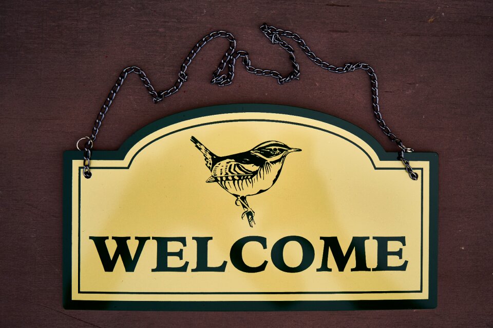 Signage graphics article